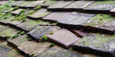 Branston roof repair costs